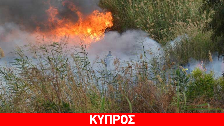 Κύπρος: Δεύτερη σύλληψη για τις πυρκαγιές στη Θελέτρα